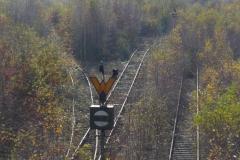 14-11-09-Duisburg 007+