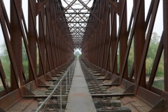 20-04-28-NSG-bei-Scheckenschanz-005
