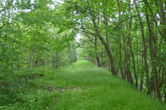 24-05-13-Foertha-007