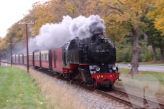 20-10-20-Molli 041+