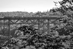 24-05-26-Muengstener-Bruecke-Schienenbus-114-sw