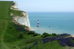 08-06-02-Eastbourne-106