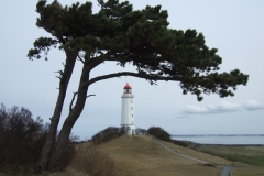 12-04-03-Hiddensee-118
