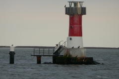 19-10-22-Greifswalder-Oie-098