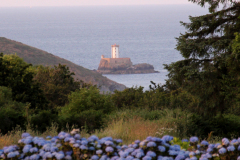23-06-25-Bretagne-C-Phare-de-Lost-Pic-016