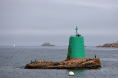 25-07-18-CarantecTaureau-075