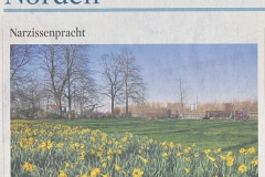 22-03-10-KStA-Narzissenwiese-02
