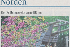 23-05-11-Der-Fruehling-treibt-zarte-Blueten-002