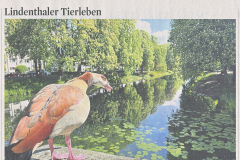 25-05-13-KStA-Lindenthaler-Tierleben-02