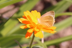 20-04-12-Leben im Garten 003+