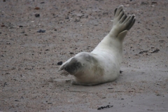 21-11-26-Helgoland-228