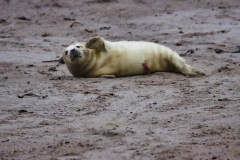 21-11-27-Helgoland-105