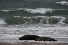 21-11-27-Helgoland-182