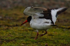 21-11-27-Helgoland-343