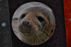 21-11-27-Helgoland-378
