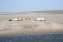 22-04-10b-Borkum-011