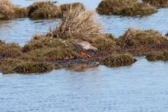 22-04-11-Borkum-031