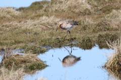 22-04-11-Borkum-082