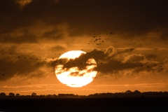 Sonnenaufgang: Standort zwischen der Insel Kirr und der Meiningenbrücke mit Blick Richtung Barth