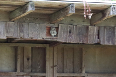24-06-21-Kaiserstuhl-Birding-086