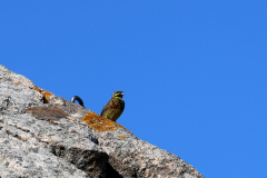 25-07-16-Pointe-de-Primel-043