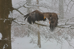 26-01-28-Fotoshooting-im-Schnee-750