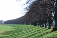 11-03-19-Geburtstagsfeier 008+