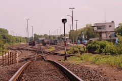 15-05-24-Niehler Bahngelände 016+