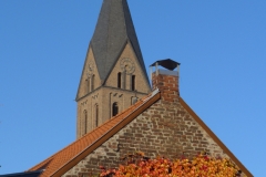 15-10-27-herbstliches Niehl 010+
