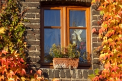 15-10-27-herbstliches Niehl 012+