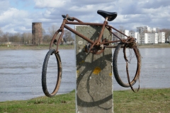 20-03-01-Niehl-008