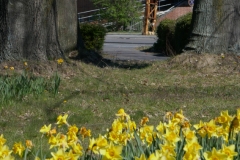 20-04-04-Nordpark 002+