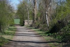 20-04-04-Nordpark-003