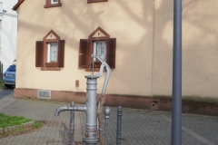 21-02-05-Niehl 001+