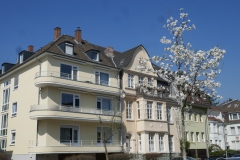 22-03-24b-Niehl-026-Drosselweg