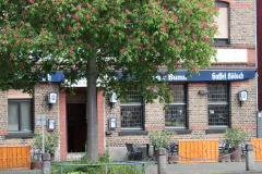 23-05-02-Niehler-Kastanienbluete-011