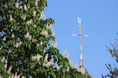 23-05-03-Niehl-Kastanienbluete-004