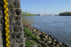 23-05-03-Niehler-Pegel-003