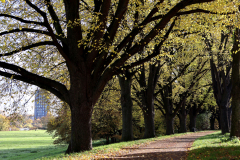 25-11-02-Niehl-Molenkopf-015