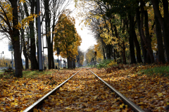 25-11-04-Niehl-Ford-010