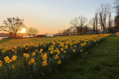 26-03-03-Niehl-am-Morgen-001
