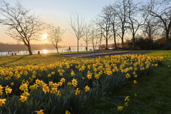 26-03-03-Niehl-am-Morgen-009