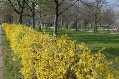 22-03-24a-Nippes-008