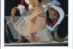 DK_Weihnachtsbaer+