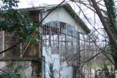 14-02-04-Weidenpesch-011