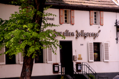 22-04-24-Weidenpesch-009