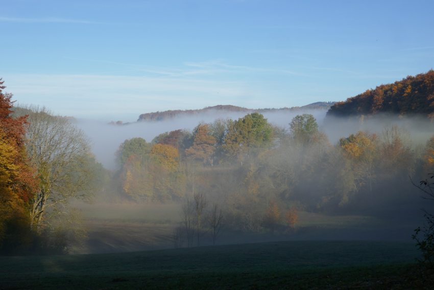 21-10-28-Thüringer Wald 026+